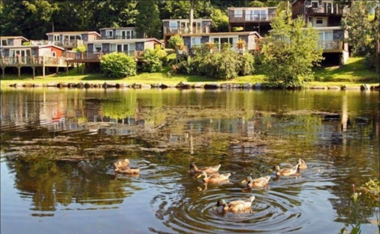 18 River View Chalet-Glan Gwna Holiday Park Caernarfon Eksteriør bilde
